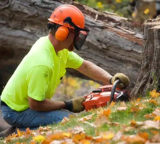 tree services Fredericktown